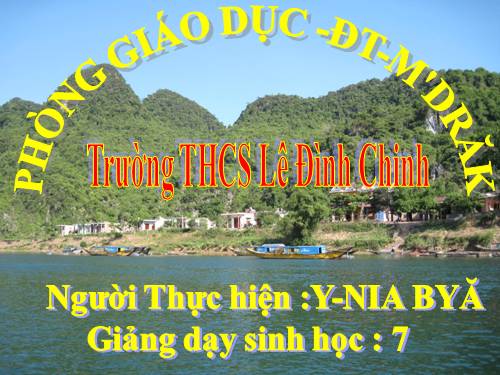 Bài 8. Thủy tức