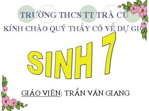 Bài 13. Giun đũa