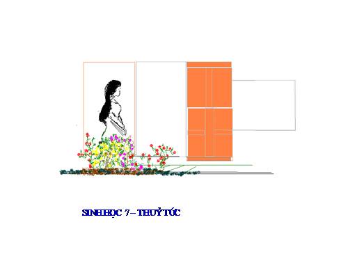 Bài 8. Thủy tức