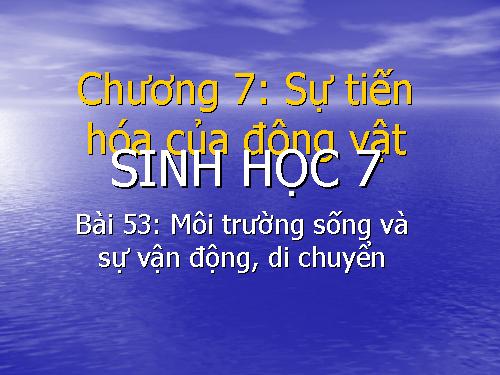 Bài 53