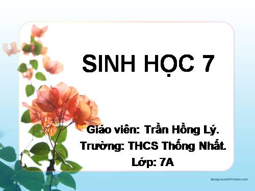 Bài 2. Phân biệt động vật với thực vật. Đặc điểm chung của động vật