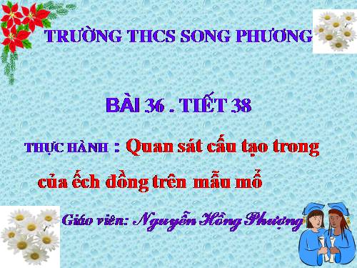 Bài 36. Thực hành: Quan sát cấu tạo trong của ếch đồng trên mẫu mổ