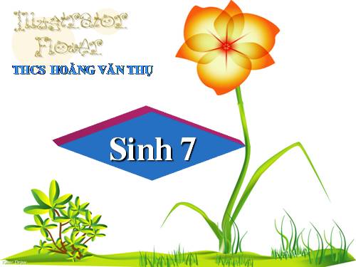 Bài 10. Đặc điểm chung và vai trò của ngành Ruột khoang
