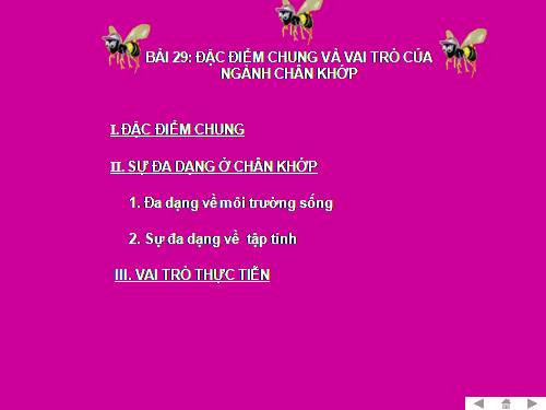 Bài 29. Đặc điểm chung và vai trò của ngành Chân khớp