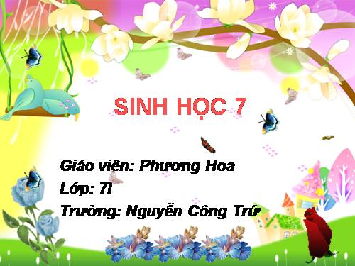 Bài 5. Trùng biến hình và trùng giày