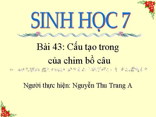 Bài 43. Cấu tạo trong của chim bồ câu