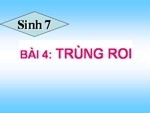 Bài 4. Trùng roi