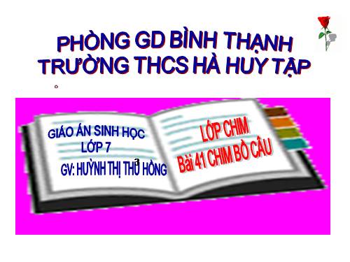 Bài 41. Chim bồ câu