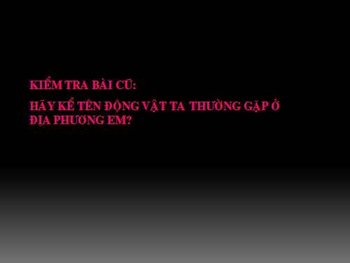 Bài 2. Phân biệt động vật với thực vật. Đặc điểm chung của động vật