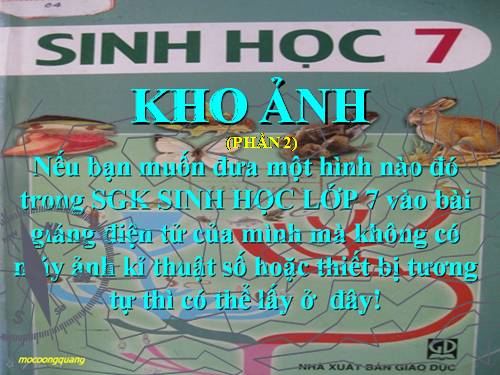 KHO ẢNH SGK SINH 7 (PHẦN 2)