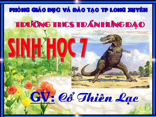 Bài 40. Đa dạng và đặc điểm chung của lớp Bò sát