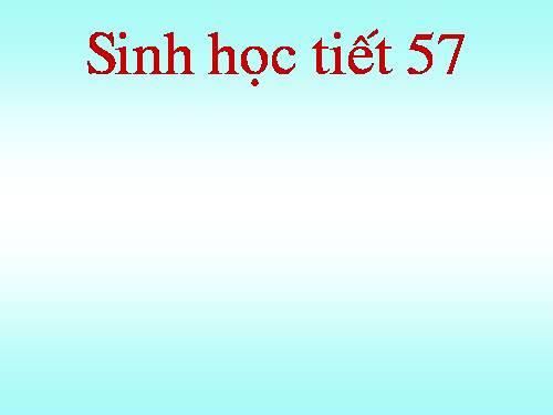 Bài 54. Tiến hoá về tổ chức cơ thể