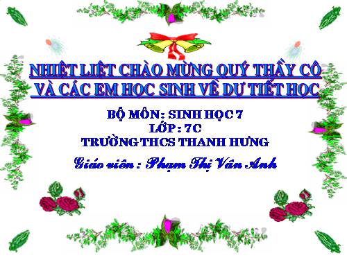 Bài 41. Chim bồ câu