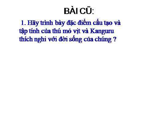 Bài 49. Đa dạng của lớp Thú: Bộ Dơi và bộ Cá voi