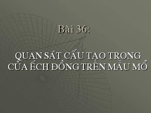 Bài 36. Thực hành: Quan sát cấu tạo trong của ếch đồng trên mẫu mổ