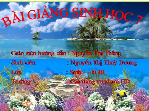 Bài 9. Đa dạng của ngành Ruột khoang