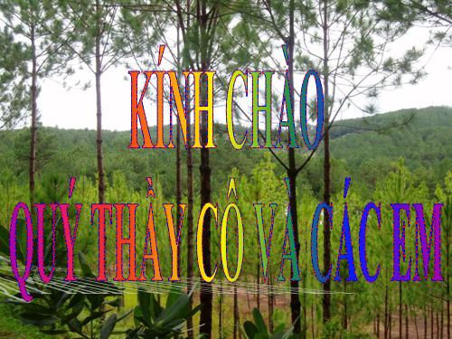 Bài 51. Đa dạng của lớp Thú: Các bộ Móng guốc và bộ Linh trưởng