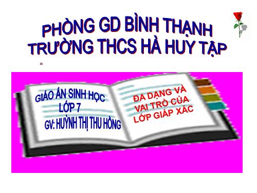 Bài 24. Đa dạng và vai trò của lớp Giáp xác