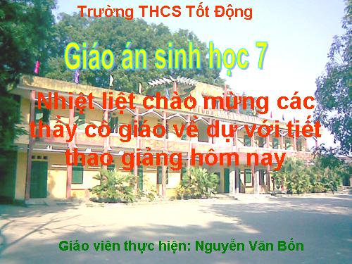 Bài 31. Cá chép