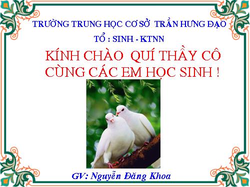Bài 44. Đa dạng và đặc điểm chung của lớp Chim