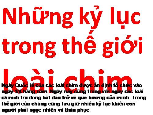 KỶ LỤC CỦA CÁC LOÀI CHIM.