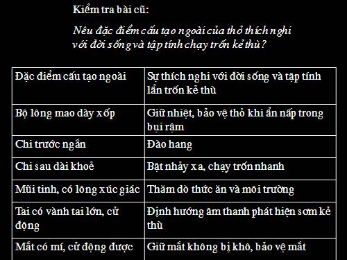 Bài 47. Cấu tạo trong của thỏ