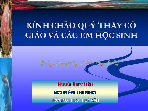 Bài 19. Một số thân mềm khác