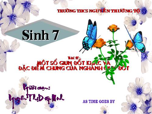 Bài 17. Một số giun đốt khác và đặc điểm chung của ngành Giun đốt