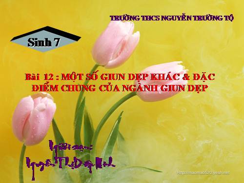 Bài 12. Một số giun dẹp khác và đặc điểm chung của ngành Giun dẹp