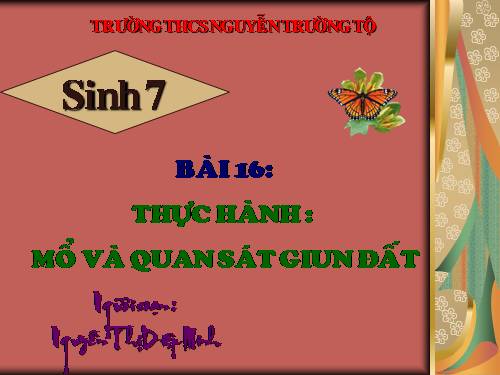Bài 16. Thực hành: Mổ và quan sát giun đất