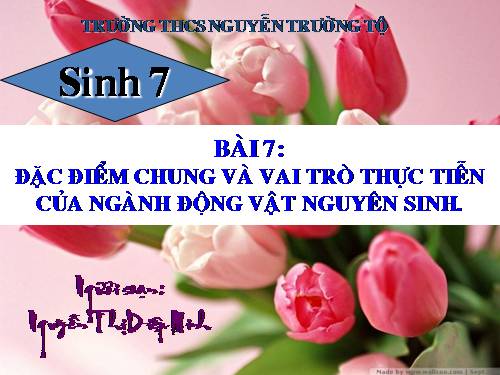 Bài 7. Đặc điểm chung và vai trò thực tiễn của Động vật nguyên sinh