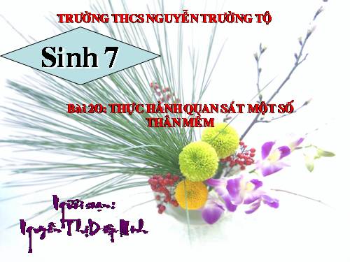 Bài 20. Thực hành: Quan sát một số thân mềm