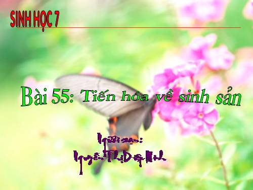 Bài 55. Tiến hoá về sinh sản