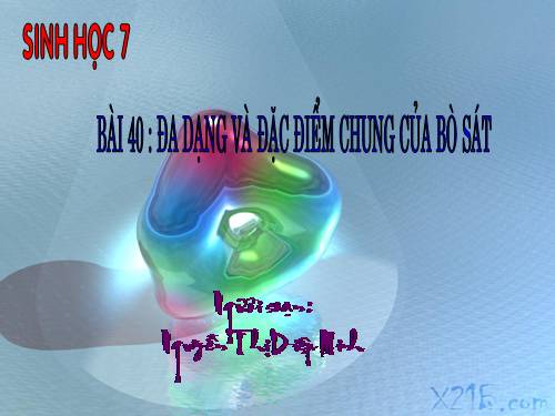 Bài 40. Đa dạng và đặc điểm chung của lớp Bò sát