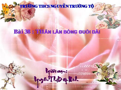 Bài 38. Thằn lằn bóng đuôi dài