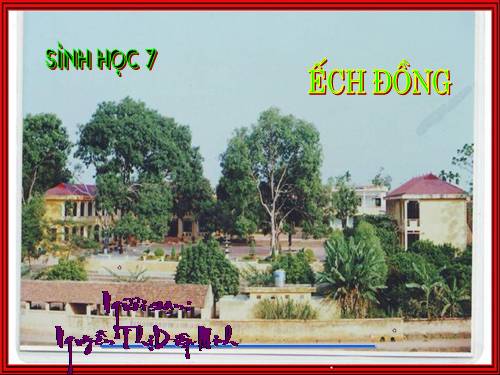 Bài 35. Ếch đồng