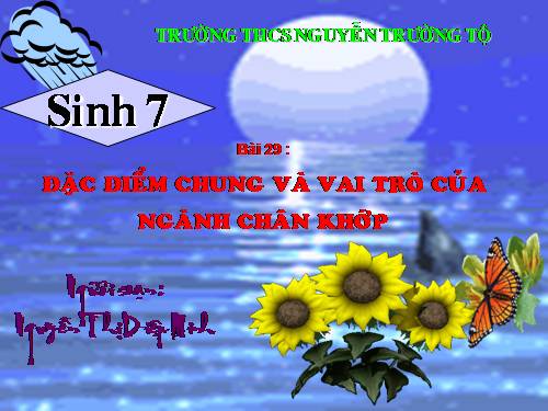 Bài 29. Đặc điểm chung và vai trò của ngành Chân khớp
