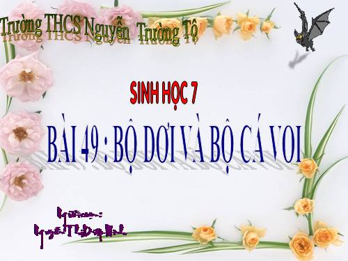 Bài 49. Đa dạng của lớp Thú: Bộ Dơi và bộ Cá voi