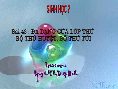 Bài 48. Đa dạng của lớp Thú: Bộ Thú huyệt, bộ Thú túi