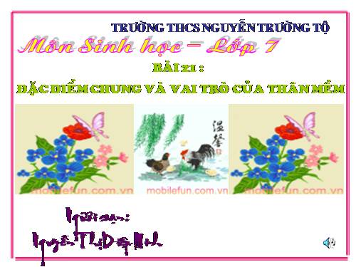Bài 21. Đặc điểm chung và vai trò của ngành Thân mềm