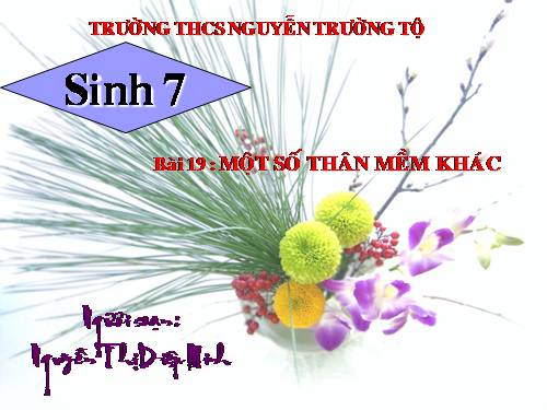 Bài 19. Một số thân mềm khác