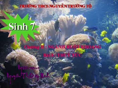 Bài 8. Thủy tức