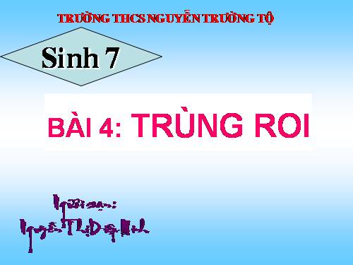 Bài 4. Trùng roi
