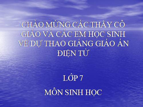 Bài 26. Châu chấu