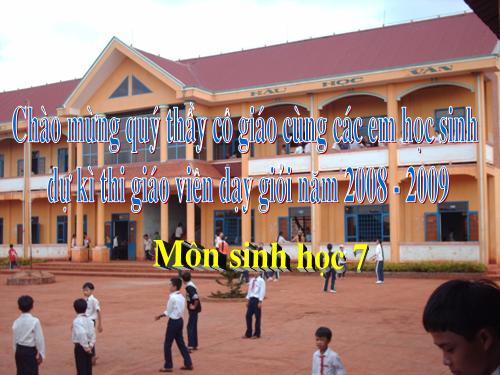 Bài 35. Ếch đồng