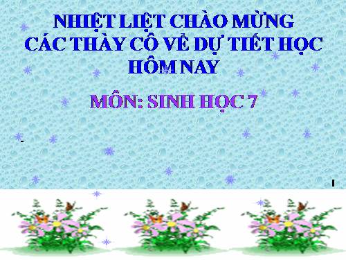 Bài 36. Thực hành: Quan sát cấu tạo trong của ếch đồng trên mẫu mổ