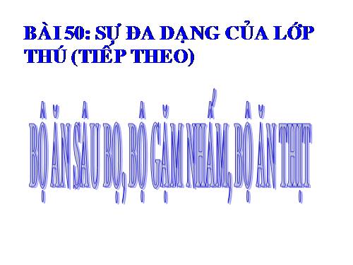 Bài 50. Đa dạng của lớp Thú: Bộ Ăn sâu bọ, bộ Gặm nhấm, bộ Ăn thịt