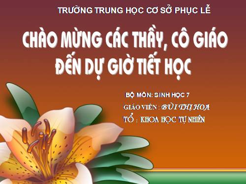 Bài 63. Ôn tập