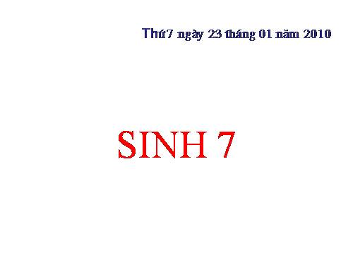 Bài 39. Cấu tạo trong của thằn lằn