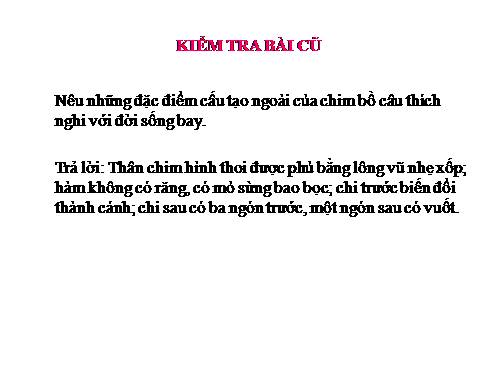 Bài 43. Cấu tạo trong của chim bồ câu